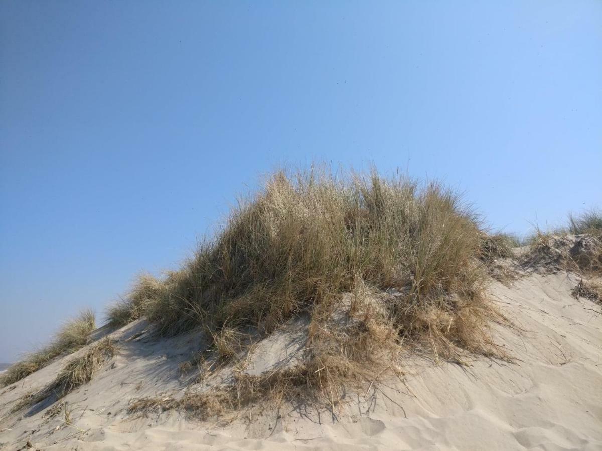 Greenfee Vakantieappartement De Haan Bagian luar foto